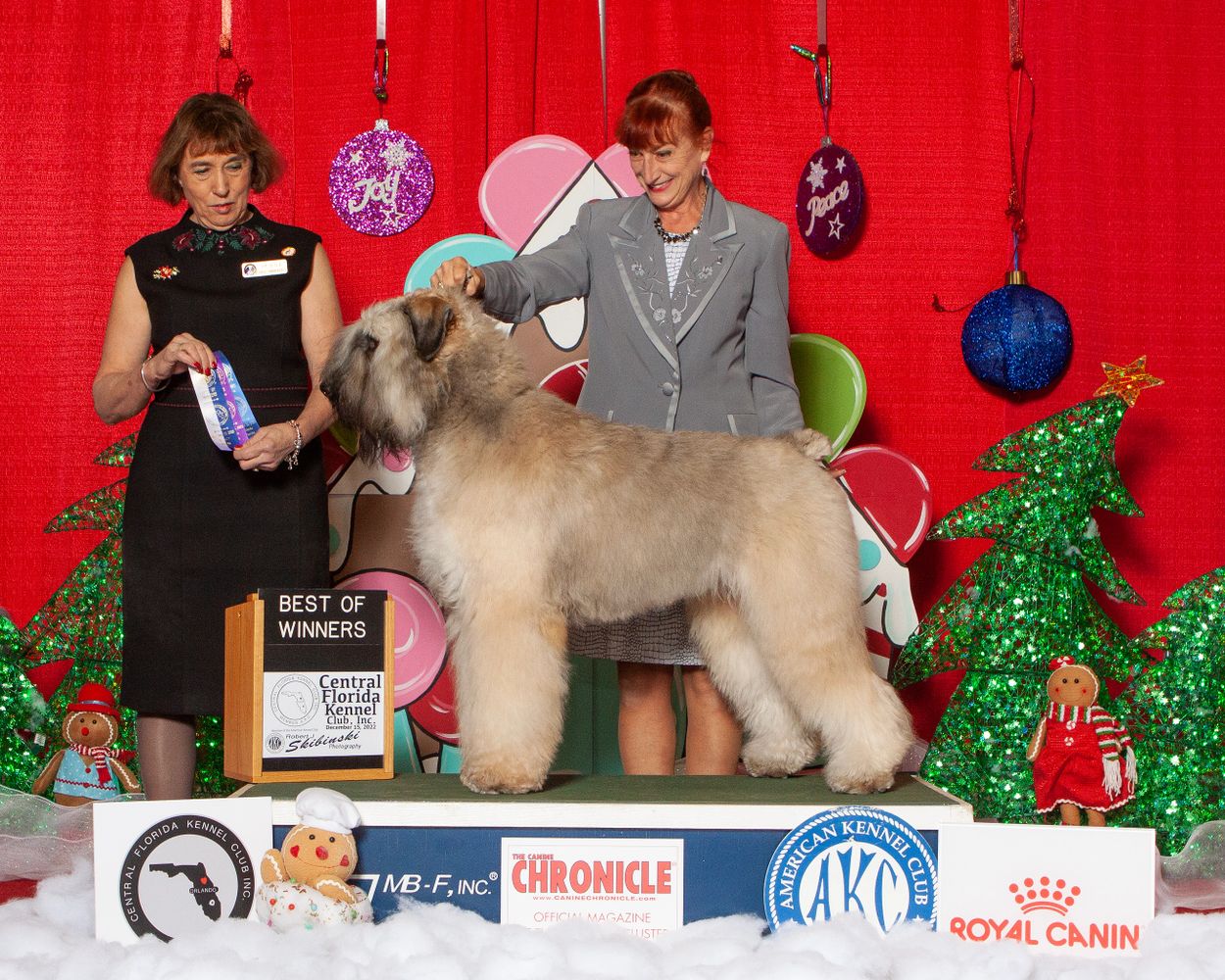 Bouvier kennels store